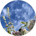 Stanzin Lhazes profile picture